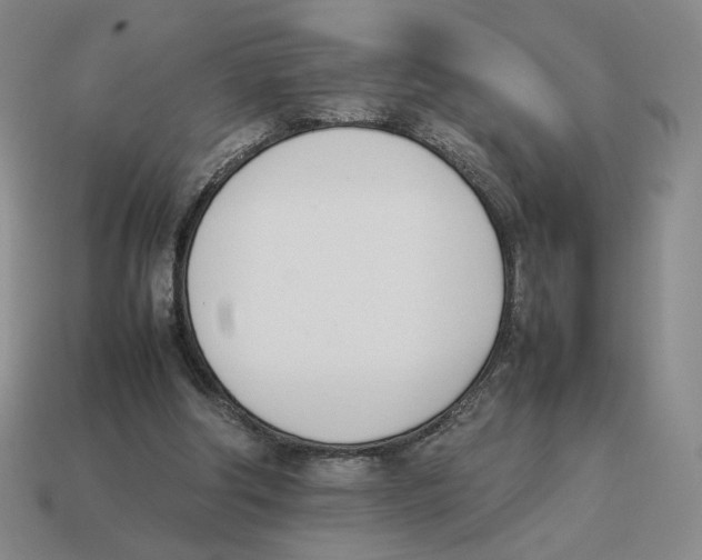 X0000114230202200911061534