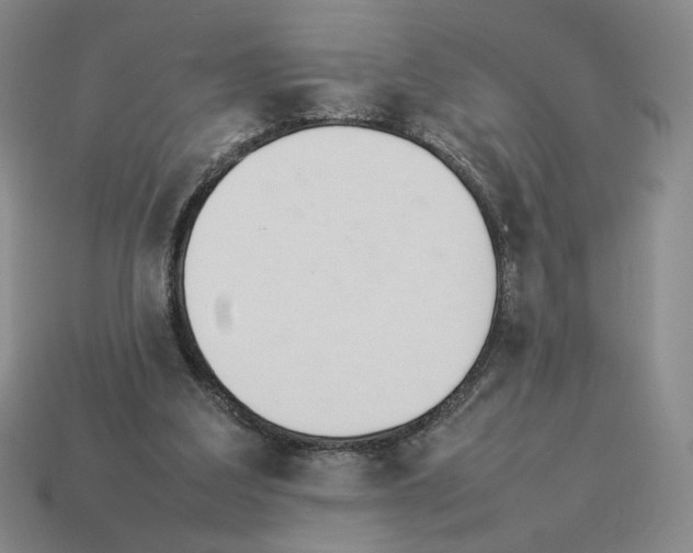 X0000114230203200911061534
