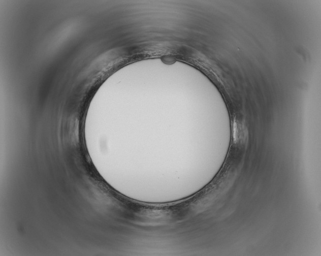 X0000114230205200911061534