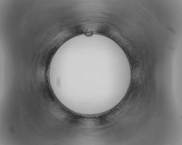 X0000114230209200911061534