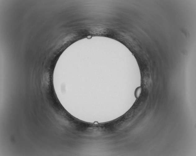 X0000114230211200911061534