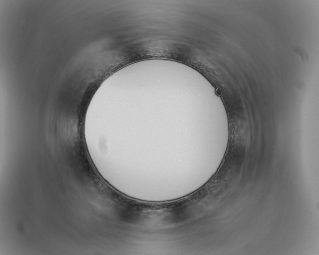 X0000114230213200911061534