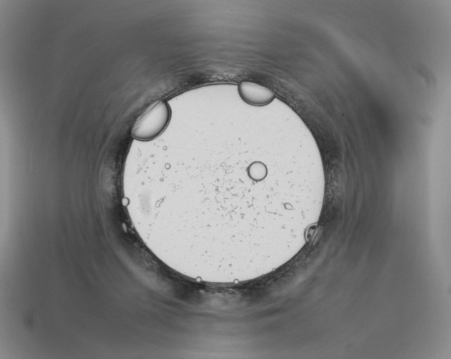 X0000114230215200911061534