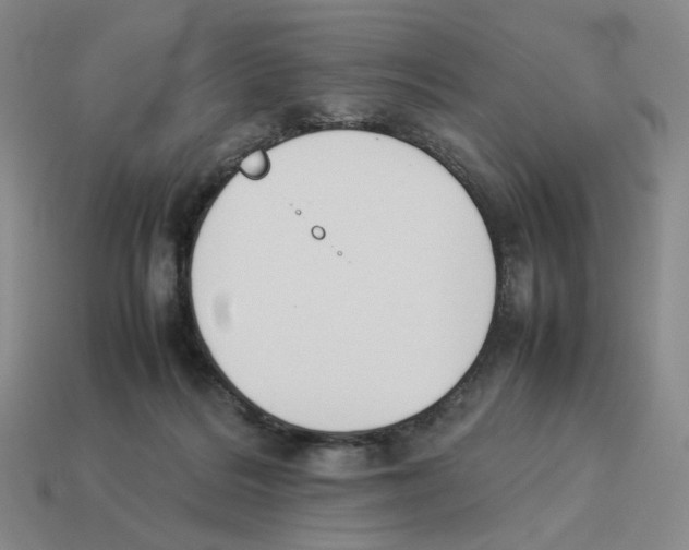X0000114230220200911061534