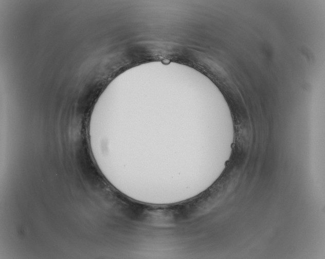 X0000114230221200911061534