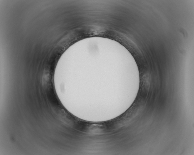 X0000114230222200911061534