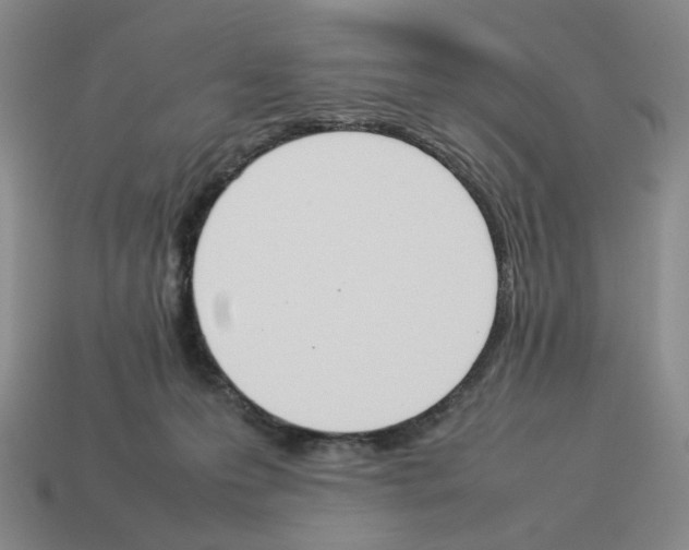 X0000114230223200911061534