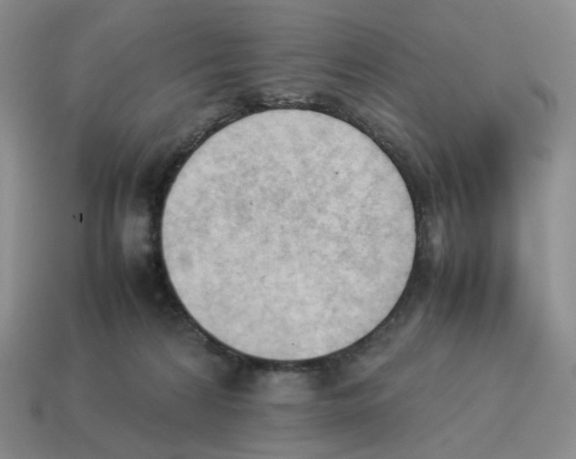 X0000114230224200911061534