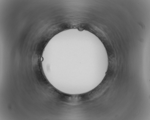 X0000114230225200911061534