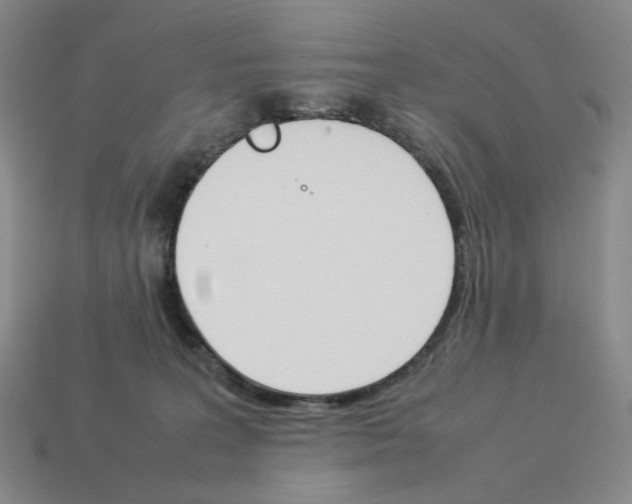 X0000114230227200911061534