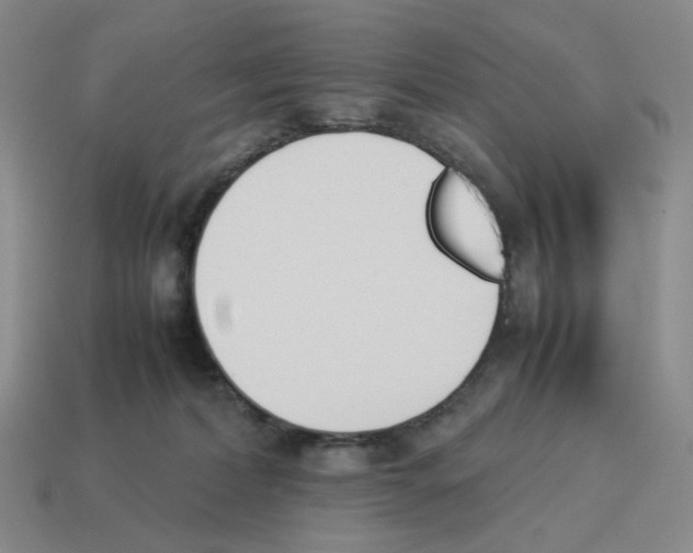 X0000114230228200911061534