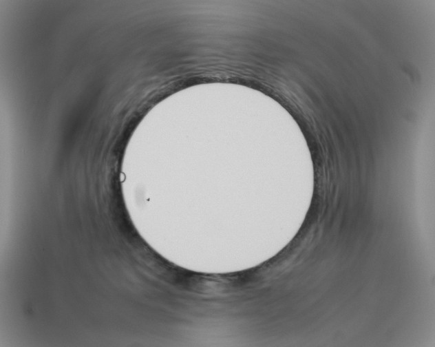 X0000114230229200911061534