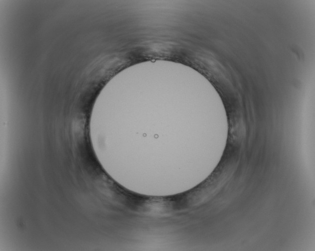 X0000114230231200911061534