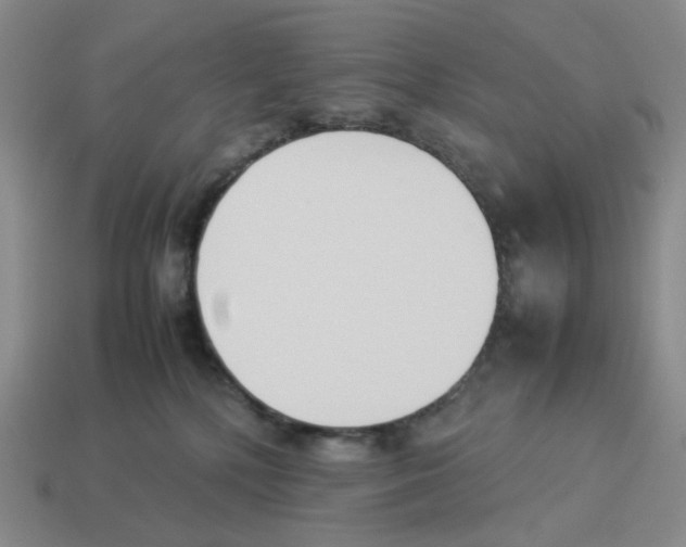 X0000114230232200911061534