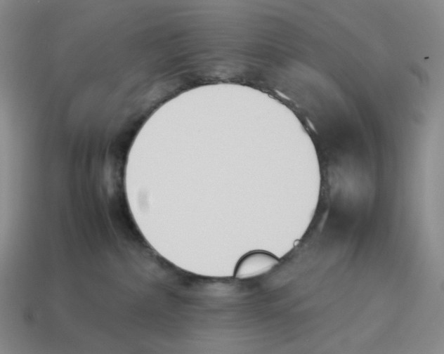 X0000114230236200911061534