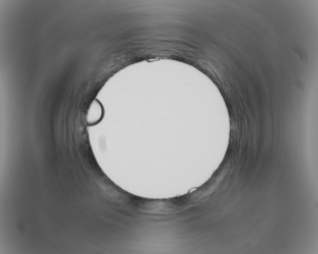 X0000114230237200911061534