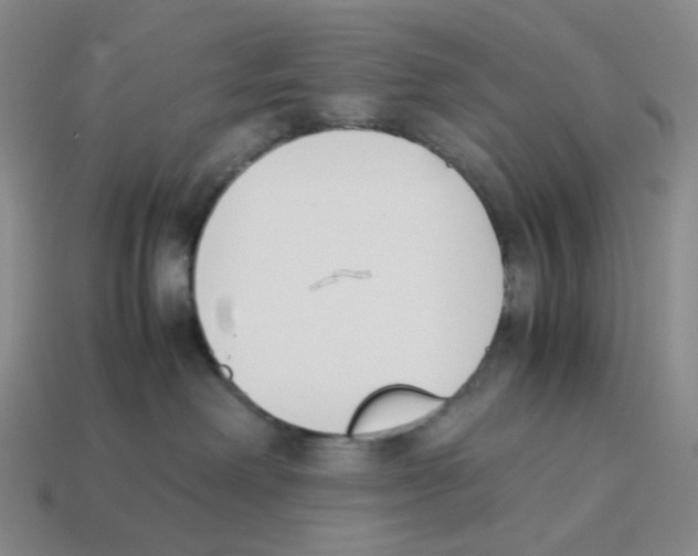 X0000114230238200911061534