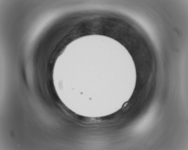 X0000114230239200911061534