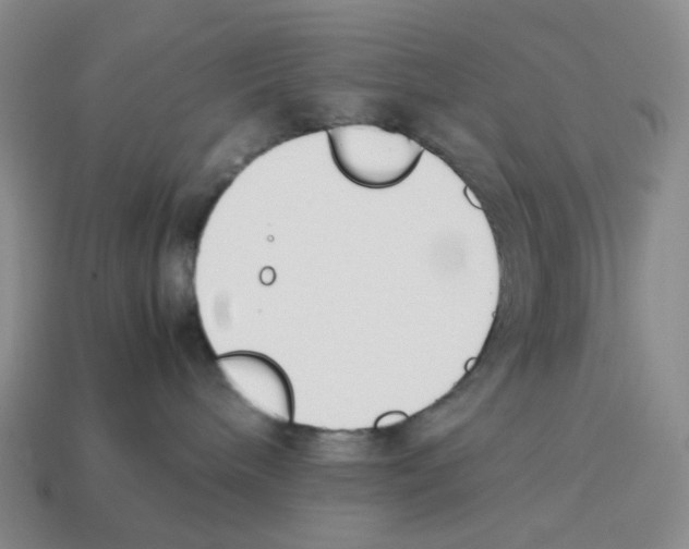 X0000114230240200911061534