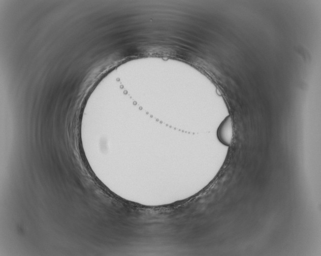 X0000114230241200911061533