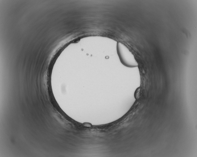 X0000114230244200911061533