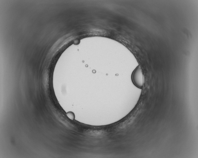 X0000114230247200911061533
