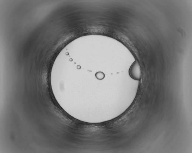 X0000114230249200911061533