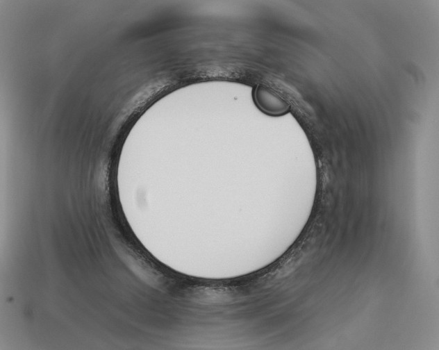 X0000114230250200911061533