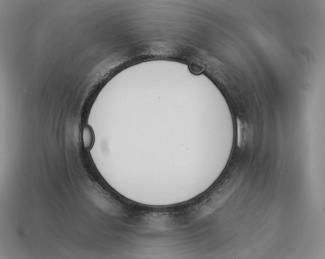 X0000114230252200911061533