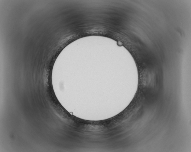 X0000114230255200911061533