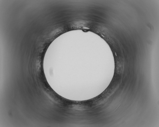 X0000114230259200911061533