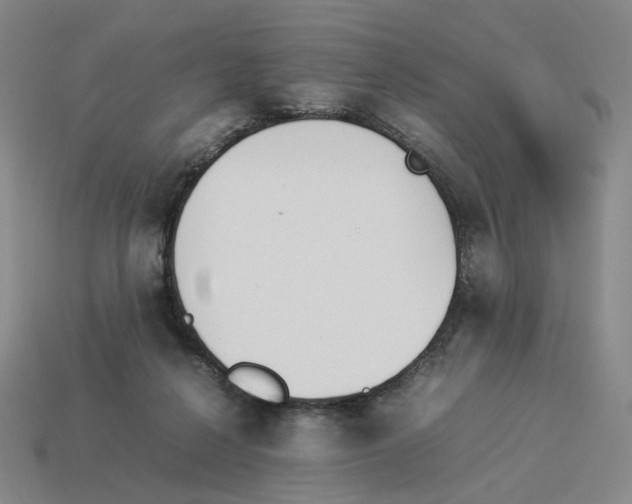 X0000114230264200911061534