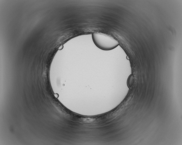 X0000114230265200911061534