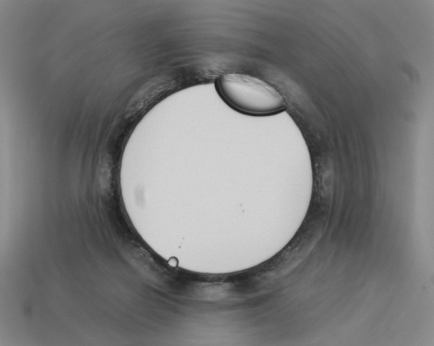 X0000114230266200911061534
