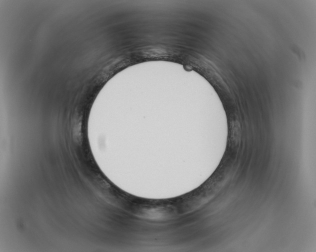 X0000114230267200911061534