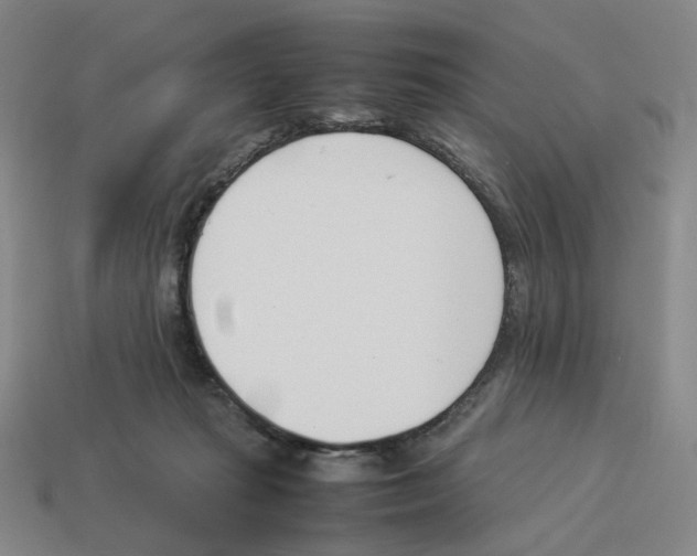 X0000114230269200911061534