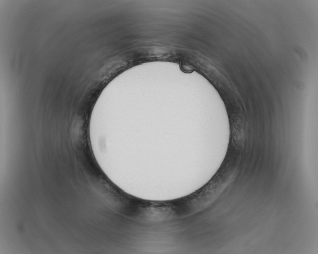 X0000114230270200911061534