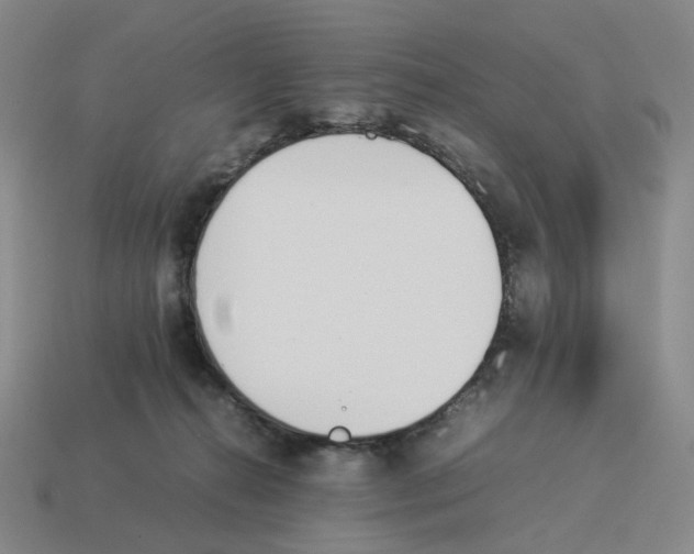 X0000114230272200911061534