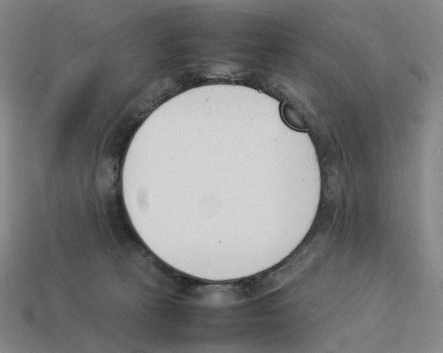 X0000114230273200911061534