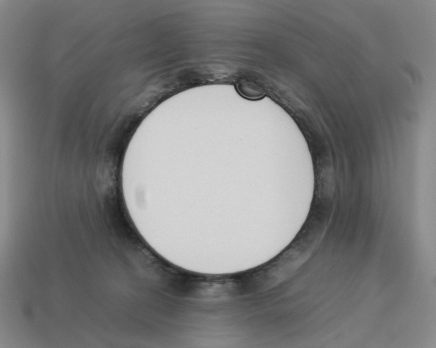 X0000114230274200911061534