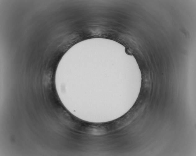 X0000114230275200911061534