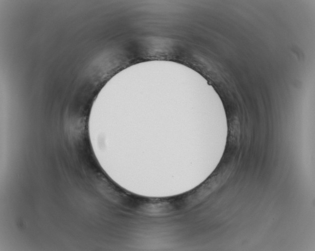 X0000114230278200911061534
