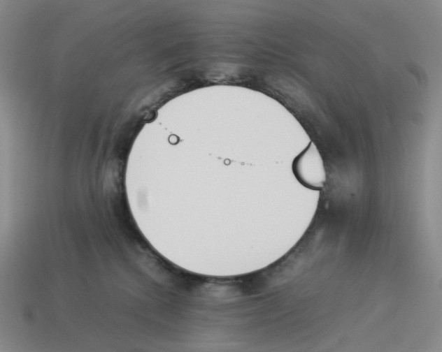 X0000114230280200911061534