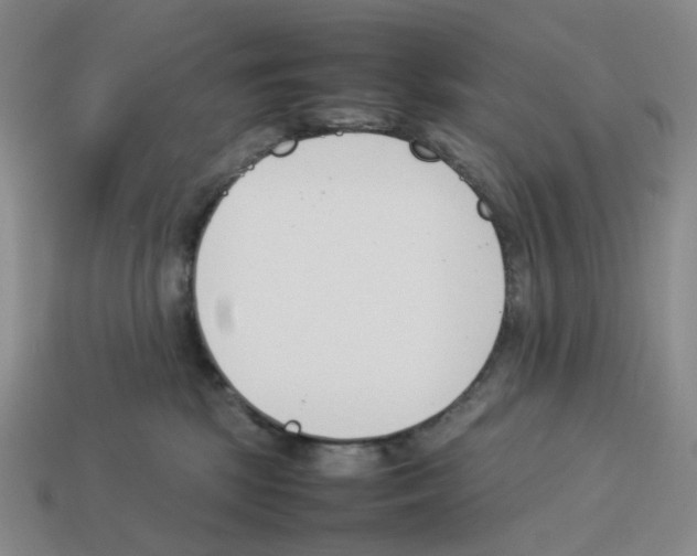 X0000114230281200911061534