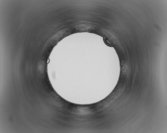 X0000114230283200911061534