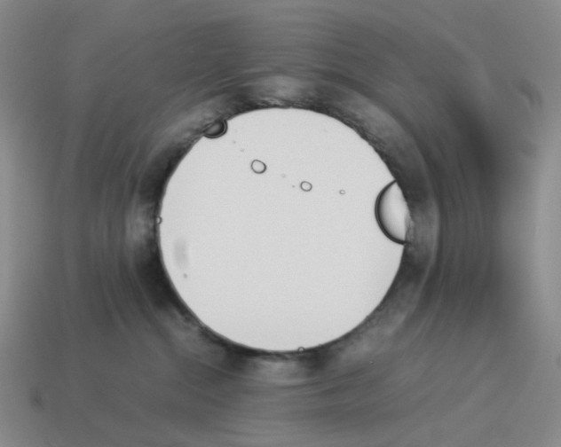 X0000114230284200911061534
