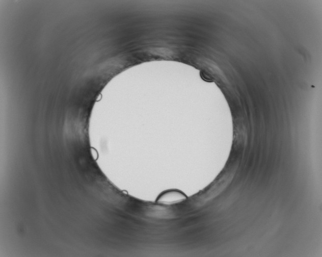 X0000114230285200911061534