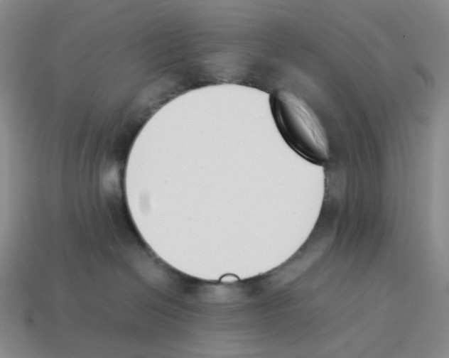 X0000114230286200911061534