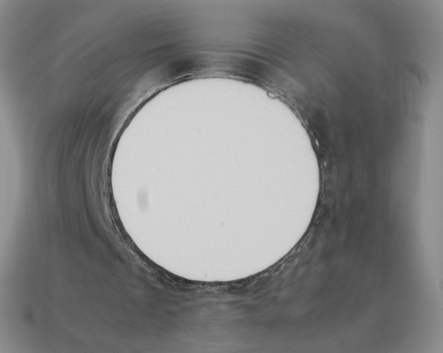 X0000114230289200911061533