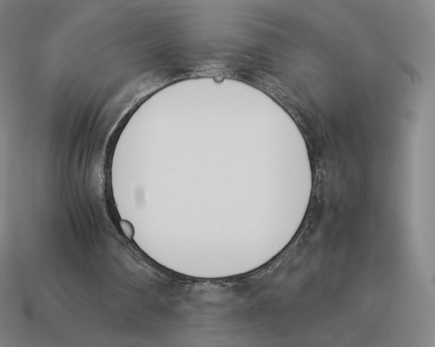 X0000114230290200911061533